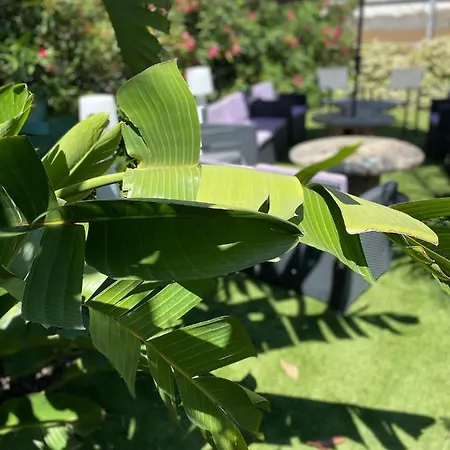 Le Penthouse Daire Sanary-sur-Mer